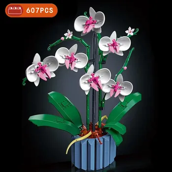 MOC 607pcs Buchet Orhidee bloc de flori Suculente în Ghiveci Blocuri 10311 Romantic Kit de Asamblare Constructii Jucărie fata cadou